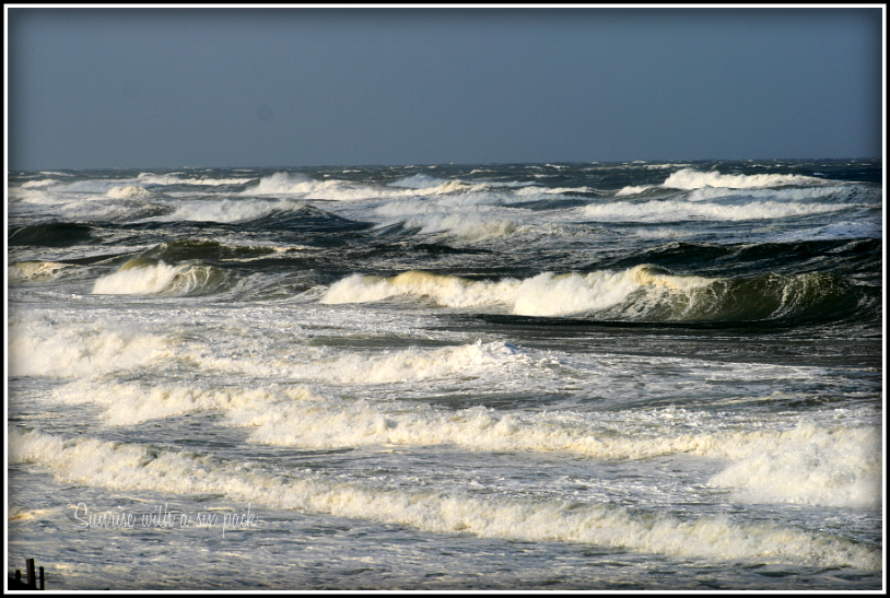 Wild Waves