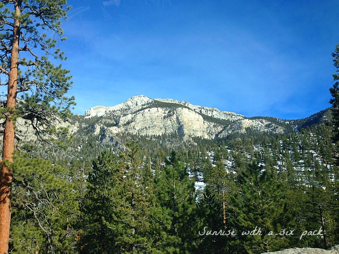 Winter Mountains