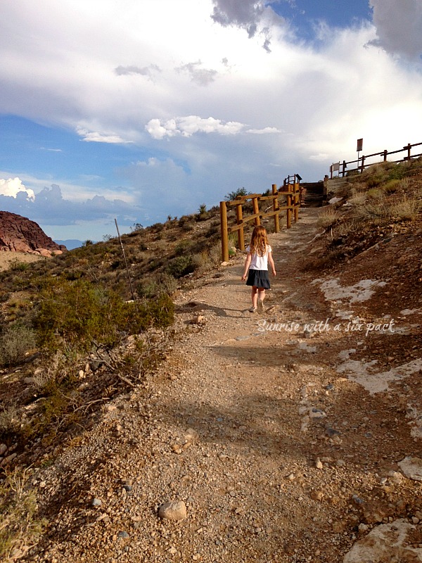 Walking the path girl