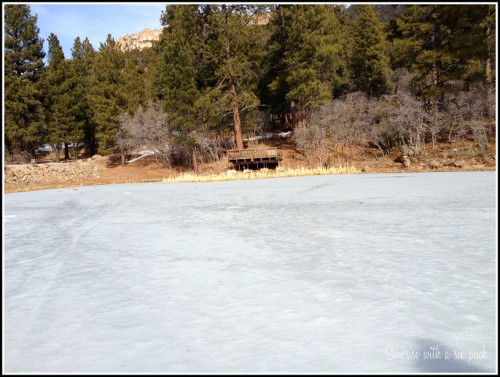 Frozen Lake